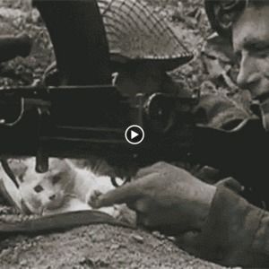 Meet your Posher, Sean